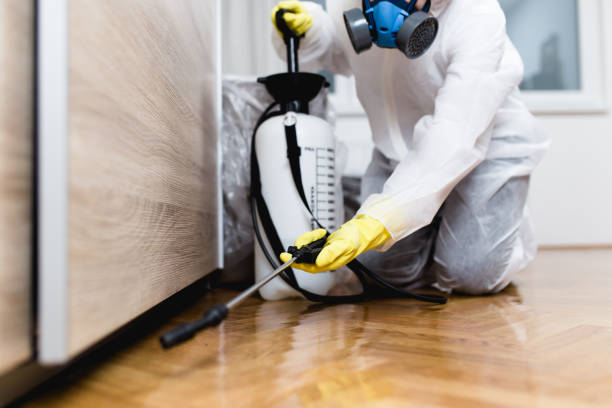  Vandalia, MO Pest Control Pros