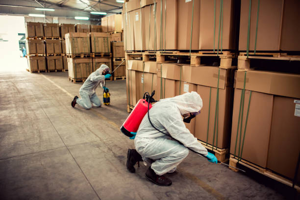 Best Cockroach Control Services  in Vandalia, MO