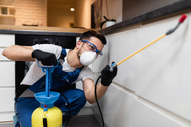 Best Pest Removal Services  in Vandalia, MO