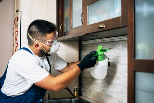 Pest Control for Restaurants in Vandalia, MO