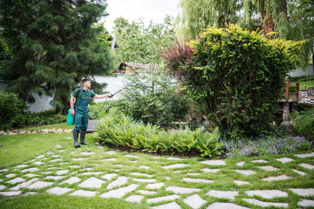 Best Affordable Pest Control Services  in Vandalia, MO