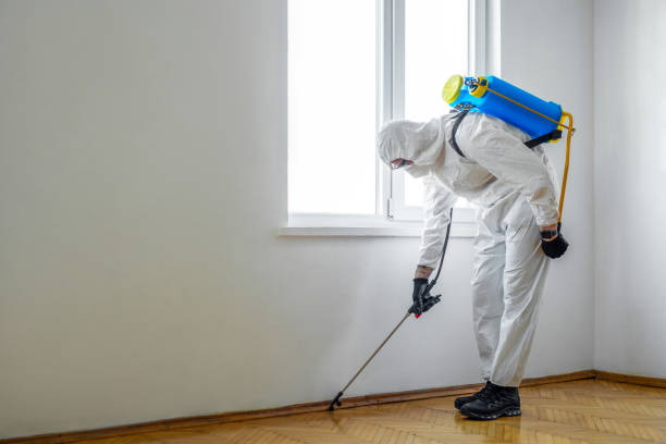 Best Affordable Pest Control Services  in Vandalia, MO