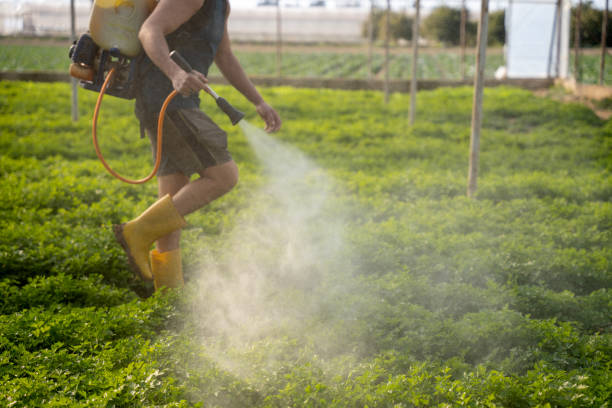Professional Pest Control in Vandalia, MO