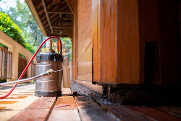 Best Cockroach Control Services  in Vandalia, MO