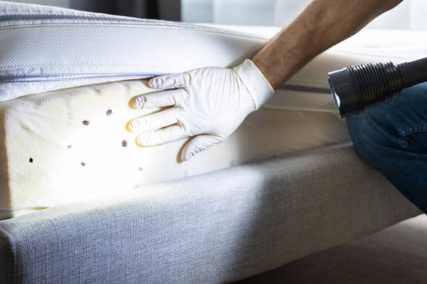 Best Wildlife Control Services  in Vandalia, MO