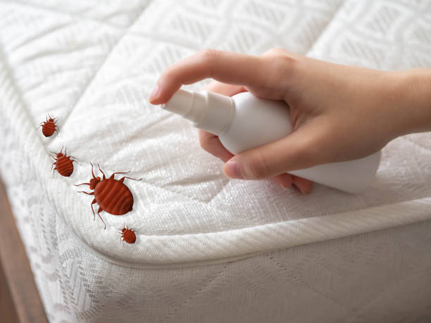 Best Emergency Pest Control  in Vandalia, MO