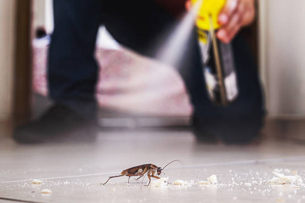 Best Pest Prevention Services  in Vandalia, MO