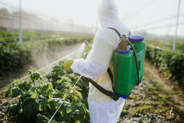 Best Commercial Pest Control Services  in Vandalia, MO